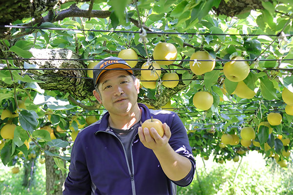 農園紹介 - いがらし梨園｜山形・庄内の自然が育んだ刈屋梨を産地直送